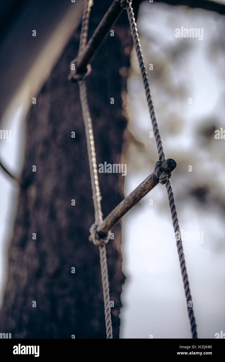Hanging Rope In Tree Rope tied tree diy hi-res stock photography and images - Alamy