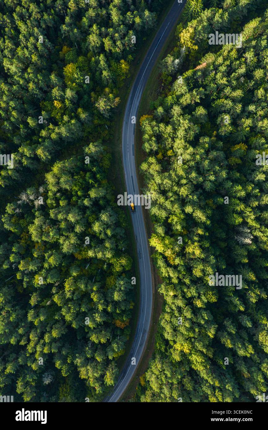 Drone aerial view of winding forest road with a yellow car driving ...