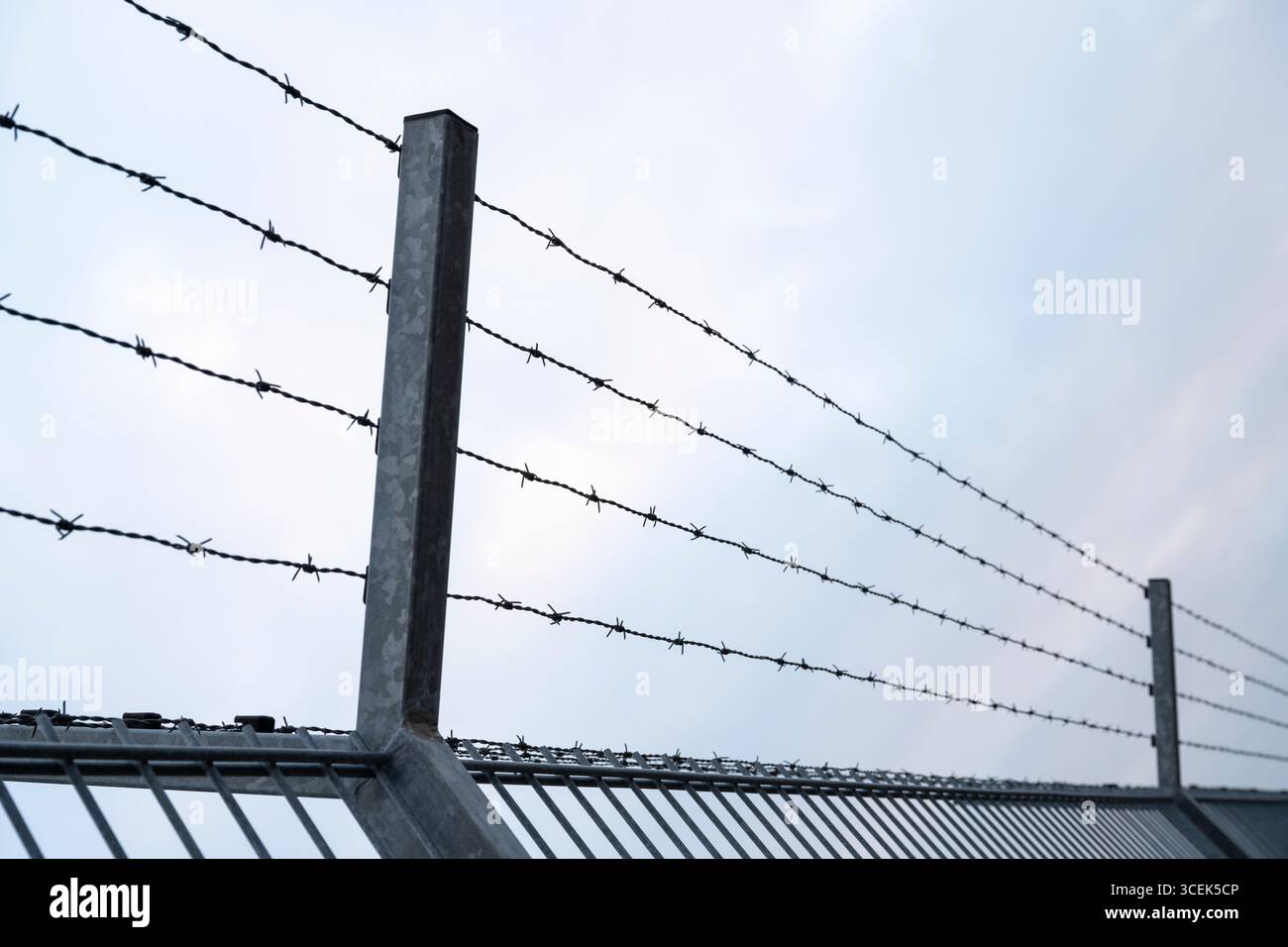 Barbed wire fence Stock Photo