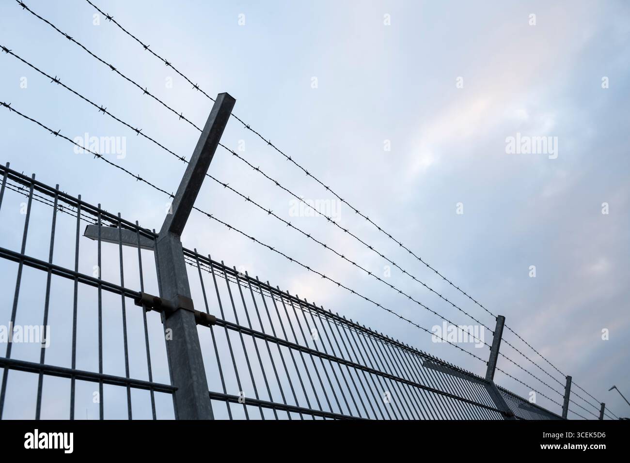 Barbed wire fence Stock Photo