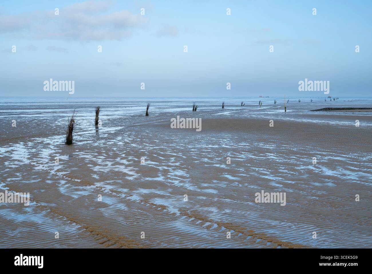 Fascine at the way through the Wadden sea to Neuwerk isIand Stock Photo
