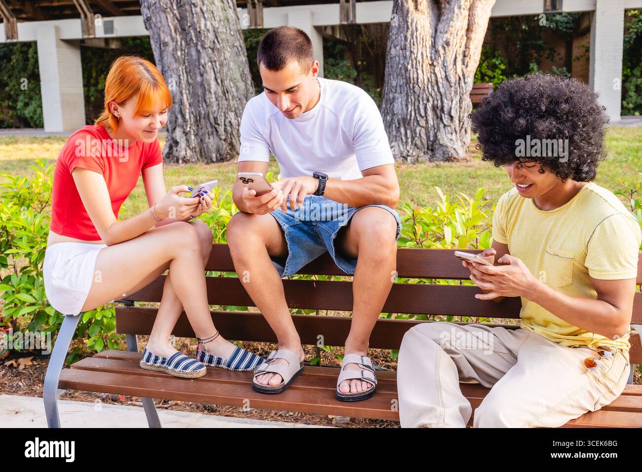 Young students using smartphones sitting on bench in park Stock Photo