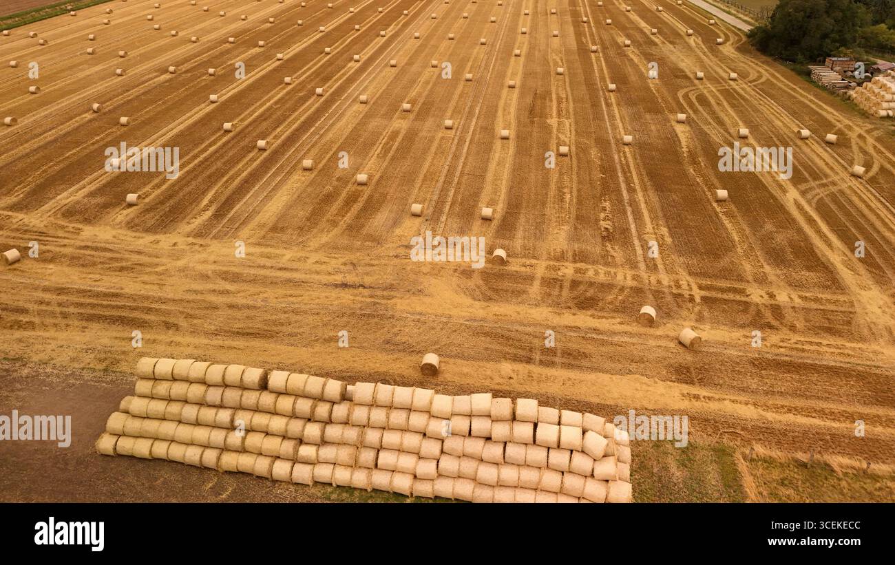 Aerial view of hay bales scattered on farmland field in summer ...