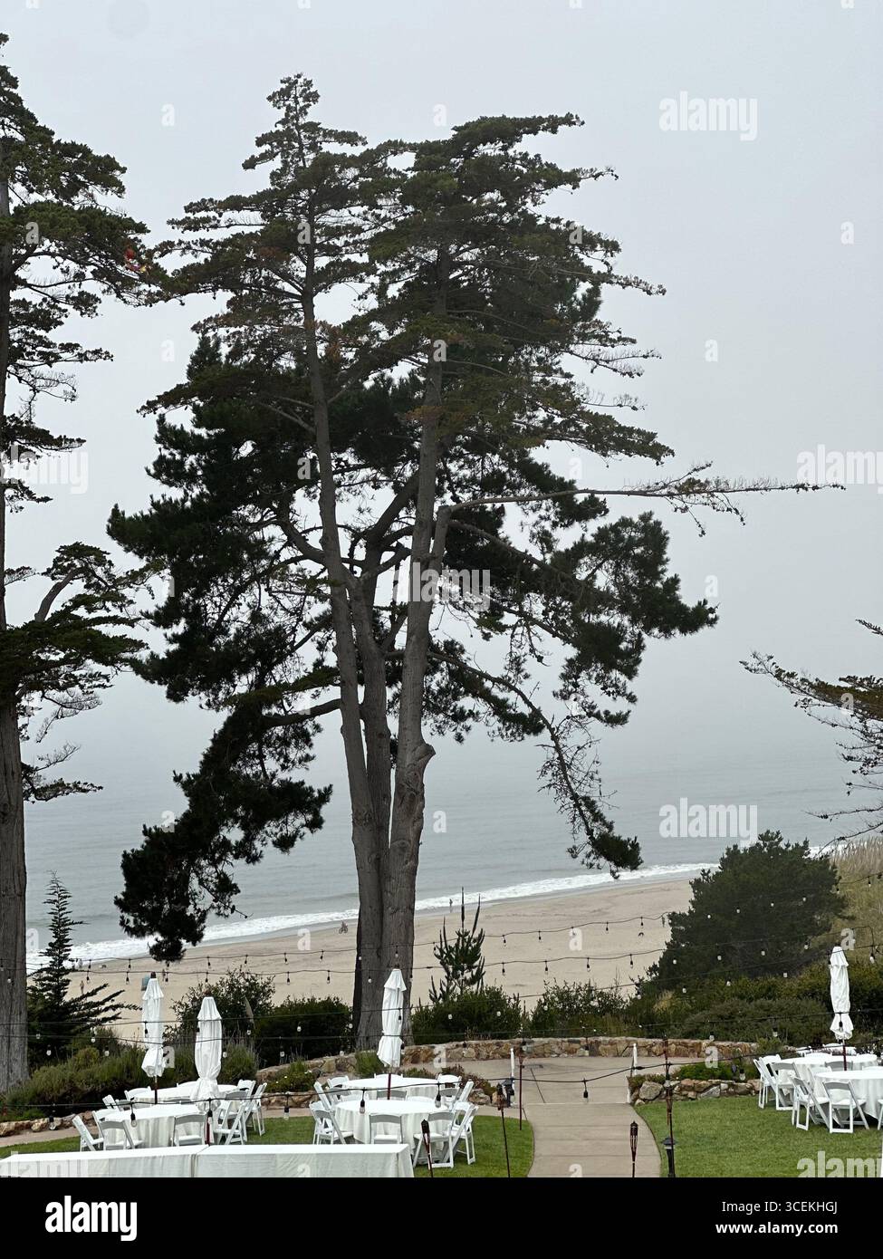 Elegant outdoor wedding and event setup with white tables, chairs, and umbrellas arranged on a lawn overlooking the Pacific Ocean on a foggy day - Smartphone Captured Stock Image