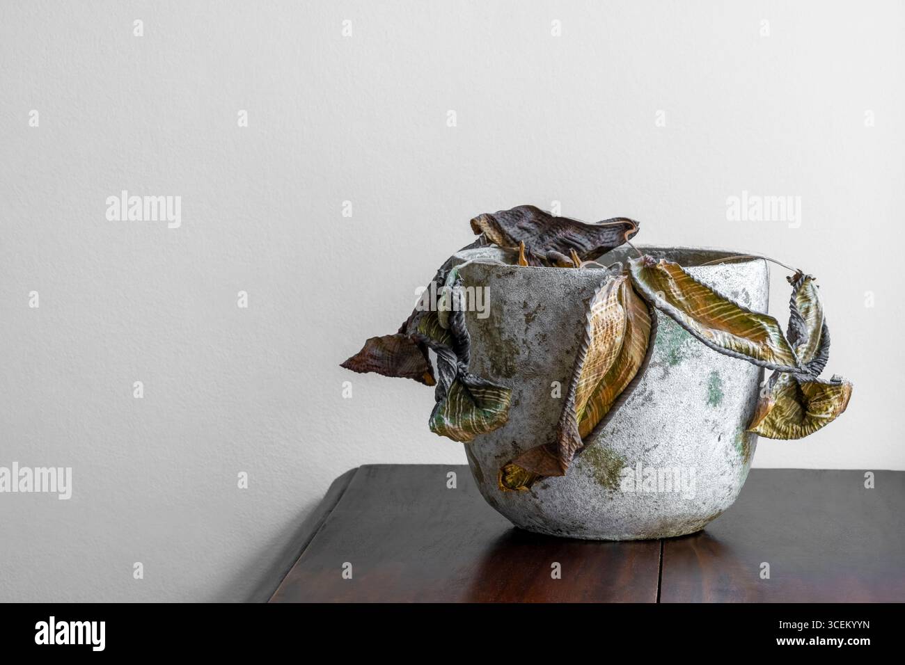 Browning on the foliage hi-res stock photography and images - Alamy