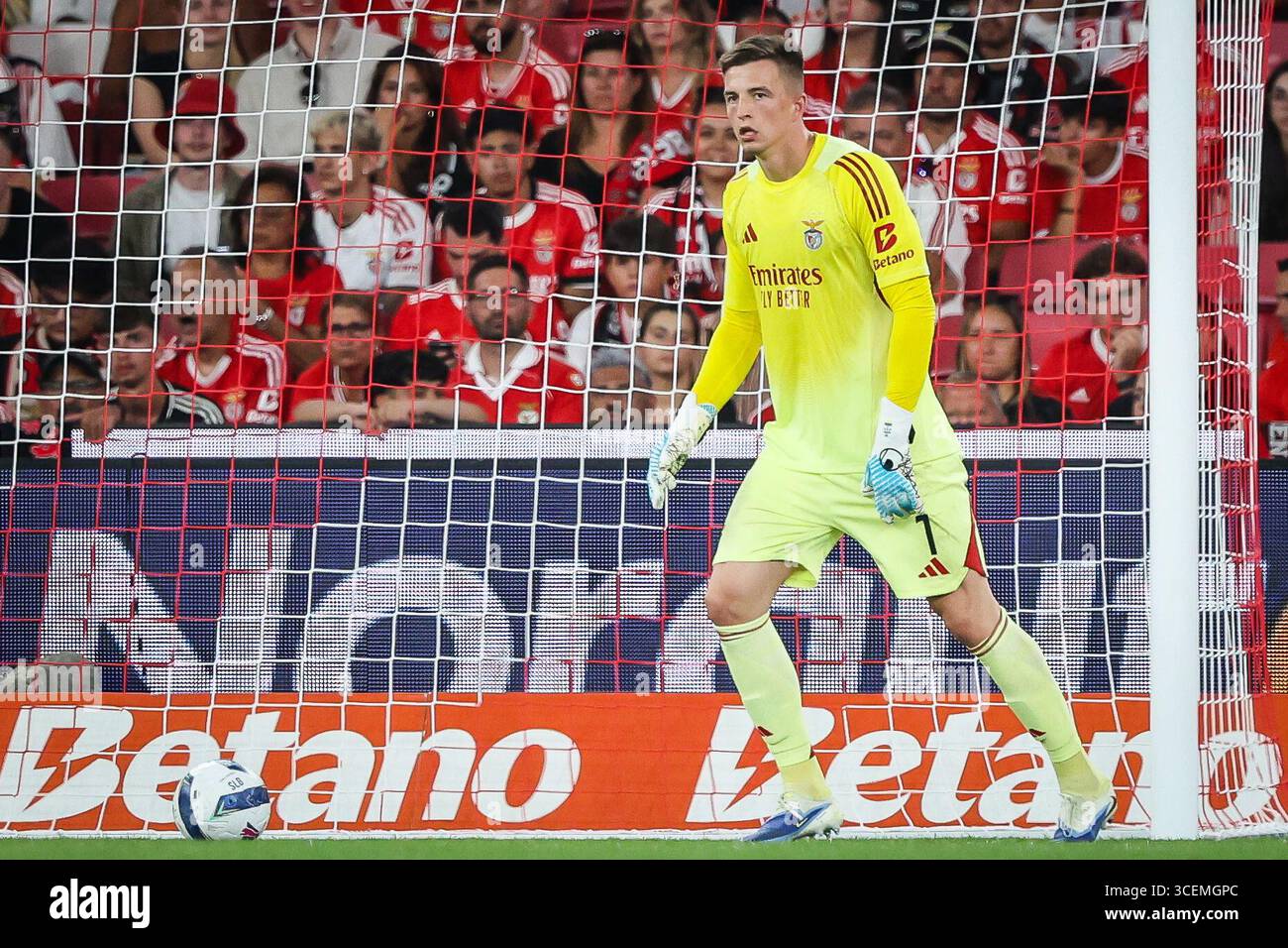 Anatoliy Trubin: Benfica's Guardian Angel — Unleashing European Brilliance in the UCL
