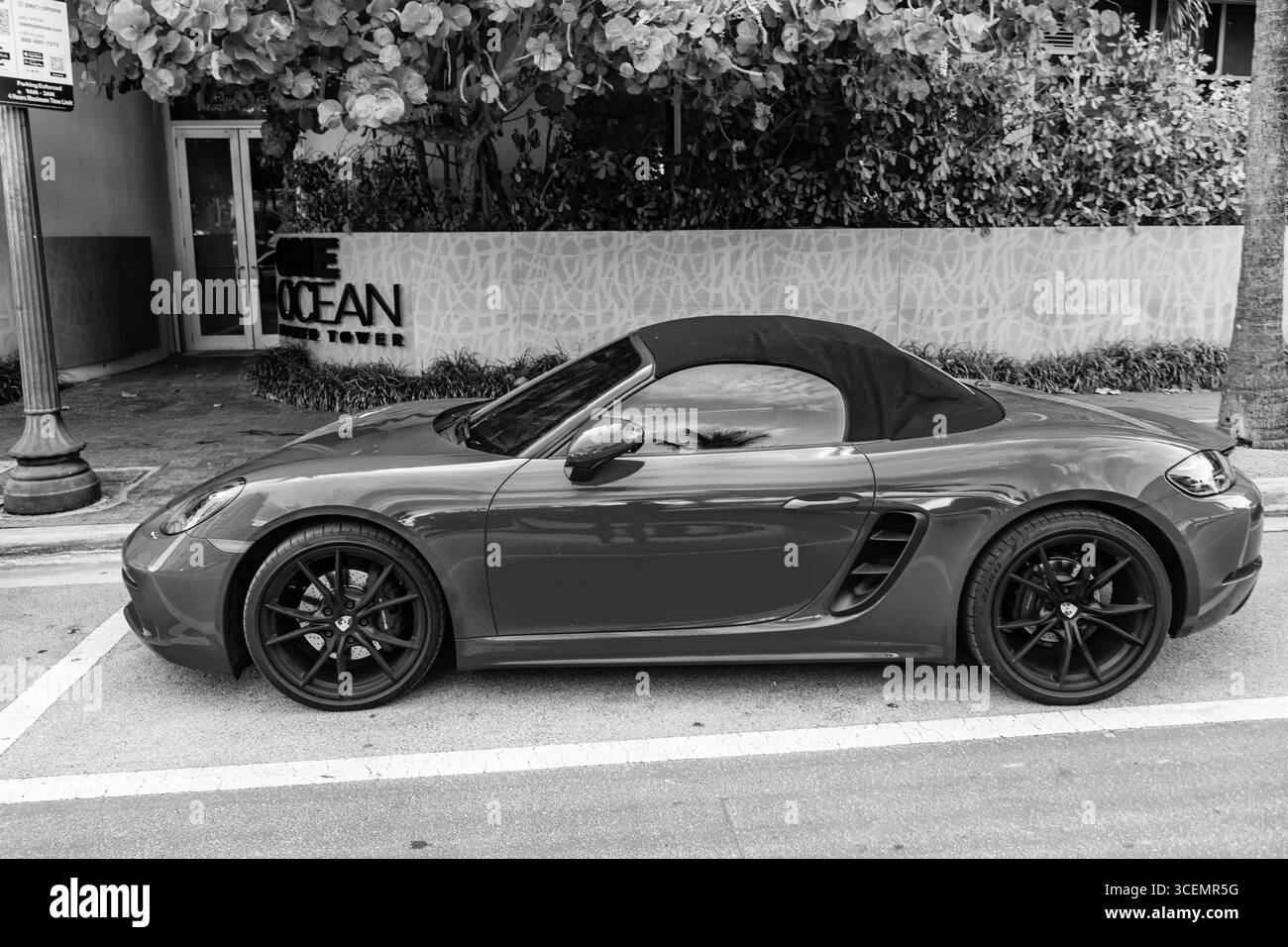 View Photos of the 2020 Porsche 911 Carrera, image size:1300x956