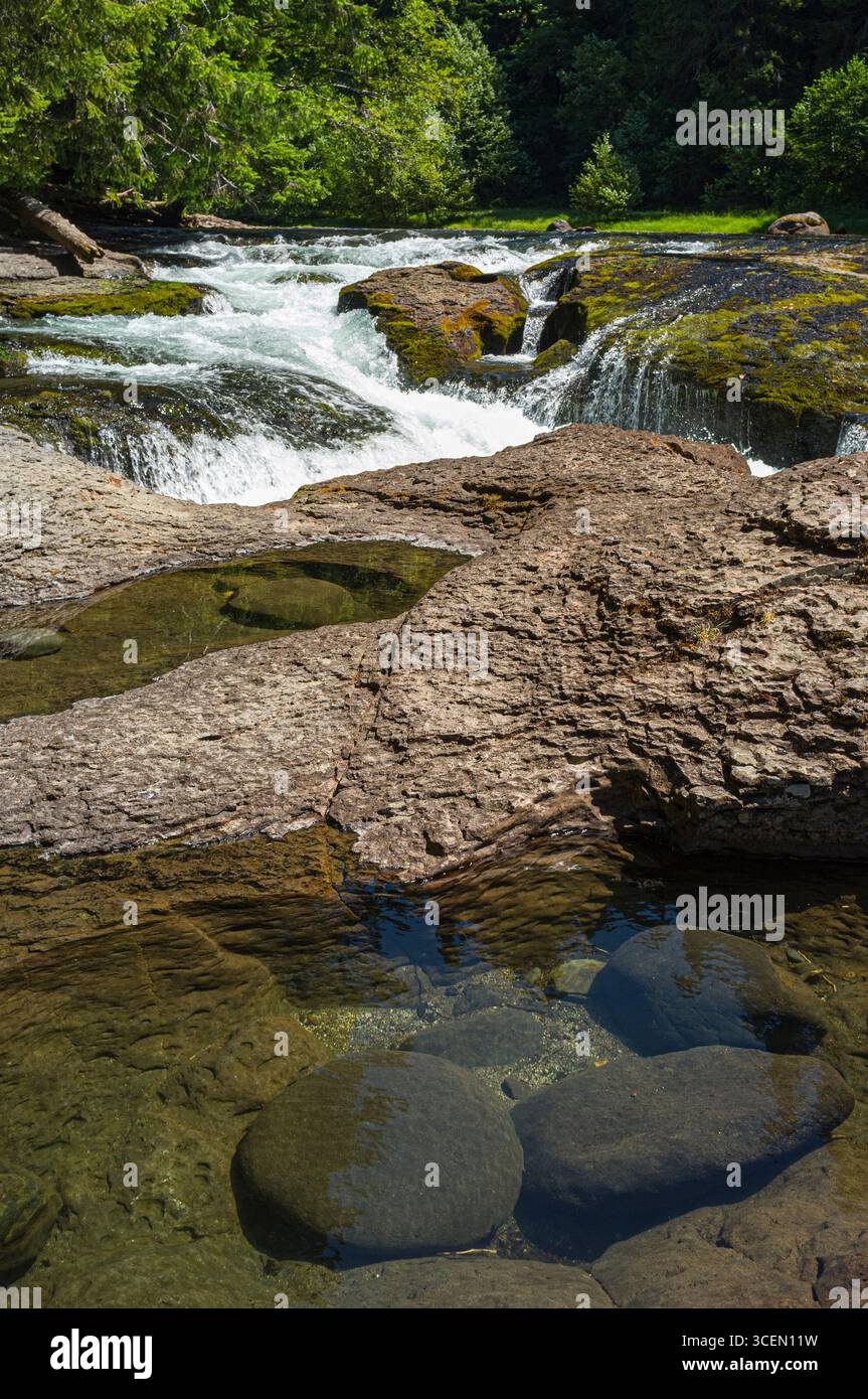 Top of Lower Falls on the Lewis River in the Gifford Pinchot National ...