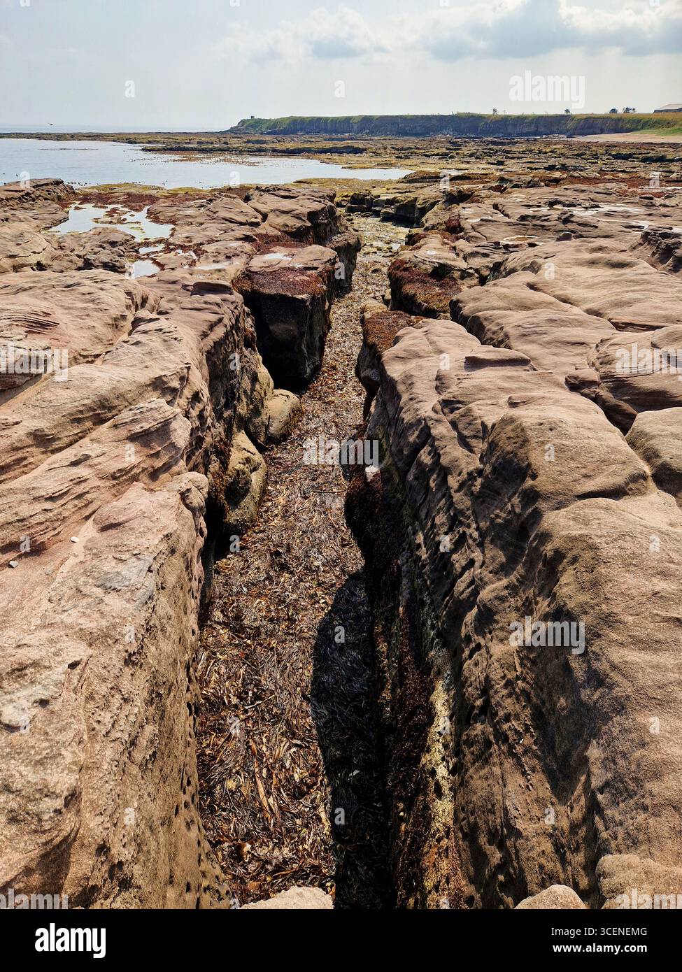 Tidal gulley at Seahouses, Northumberland, UK Stock Photo - Alamy