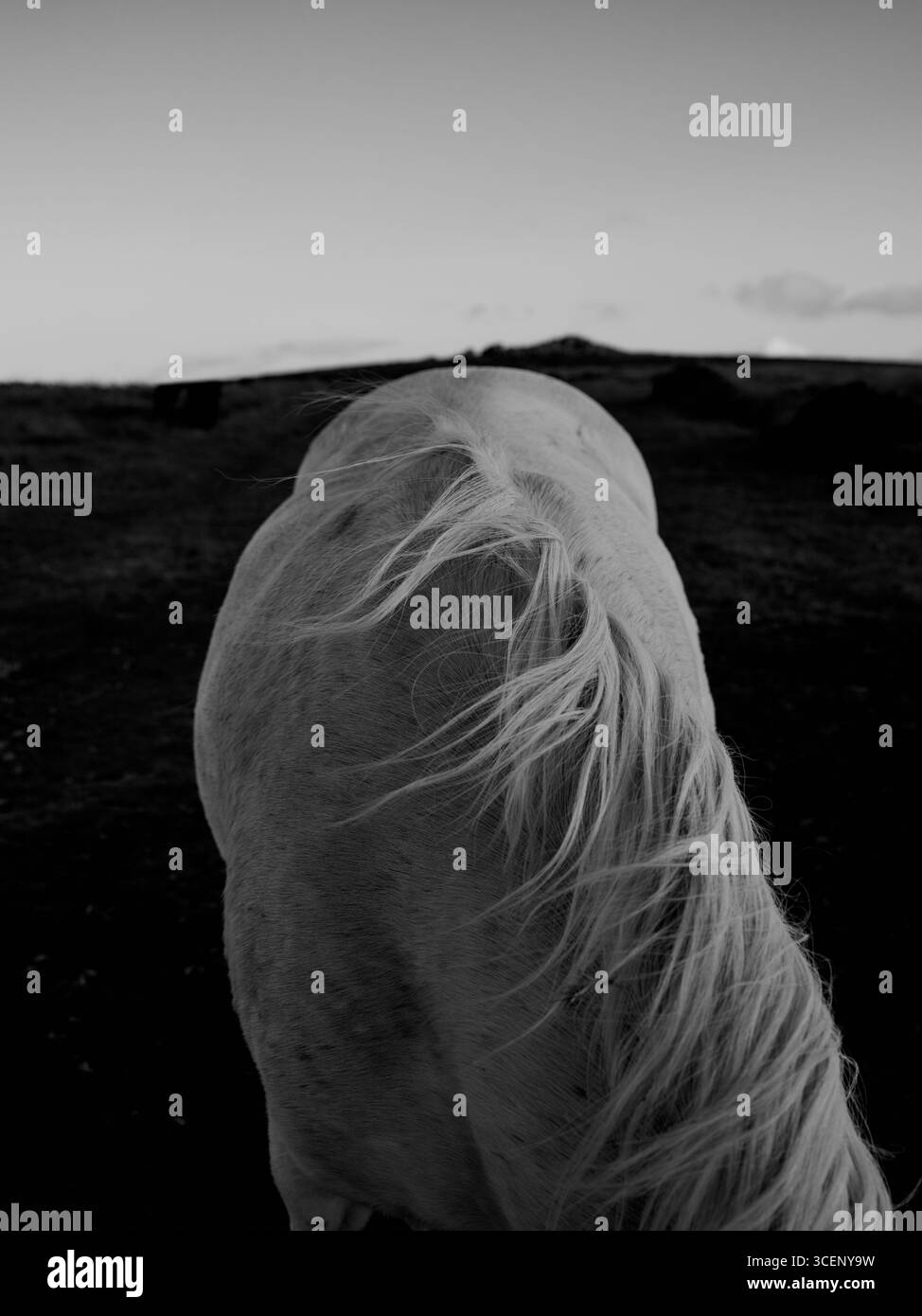 Feel wind Black and White Stock Photos Images Alamy