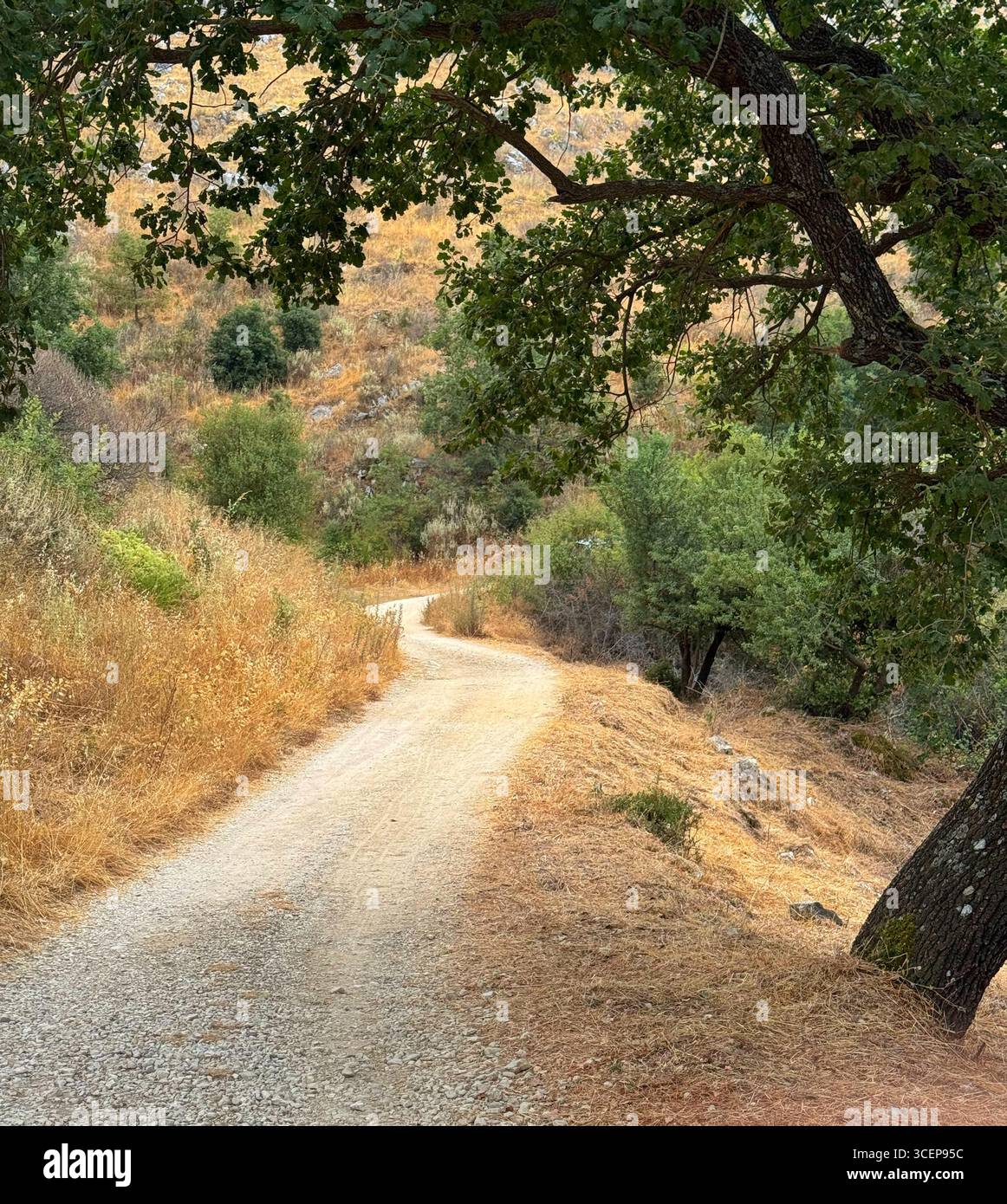 Peritheia, abandoned village, Corfu, Greece - Smartphone Captured Stock Image