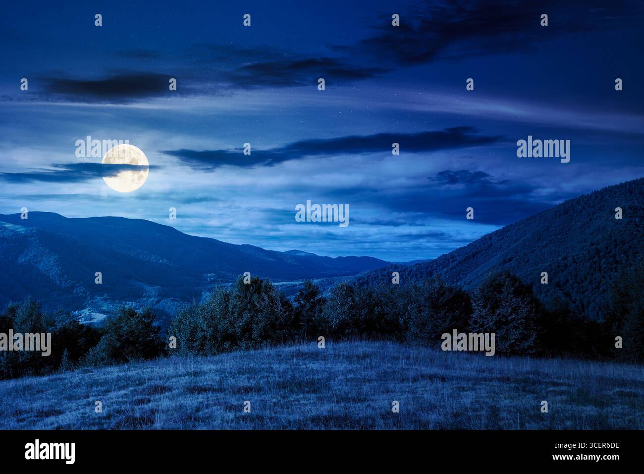 mountain landscape with forest on the hill in autumn at night. beautiful view in to the rural valley in full moon light. alpine countryside scenery un Stock Photo