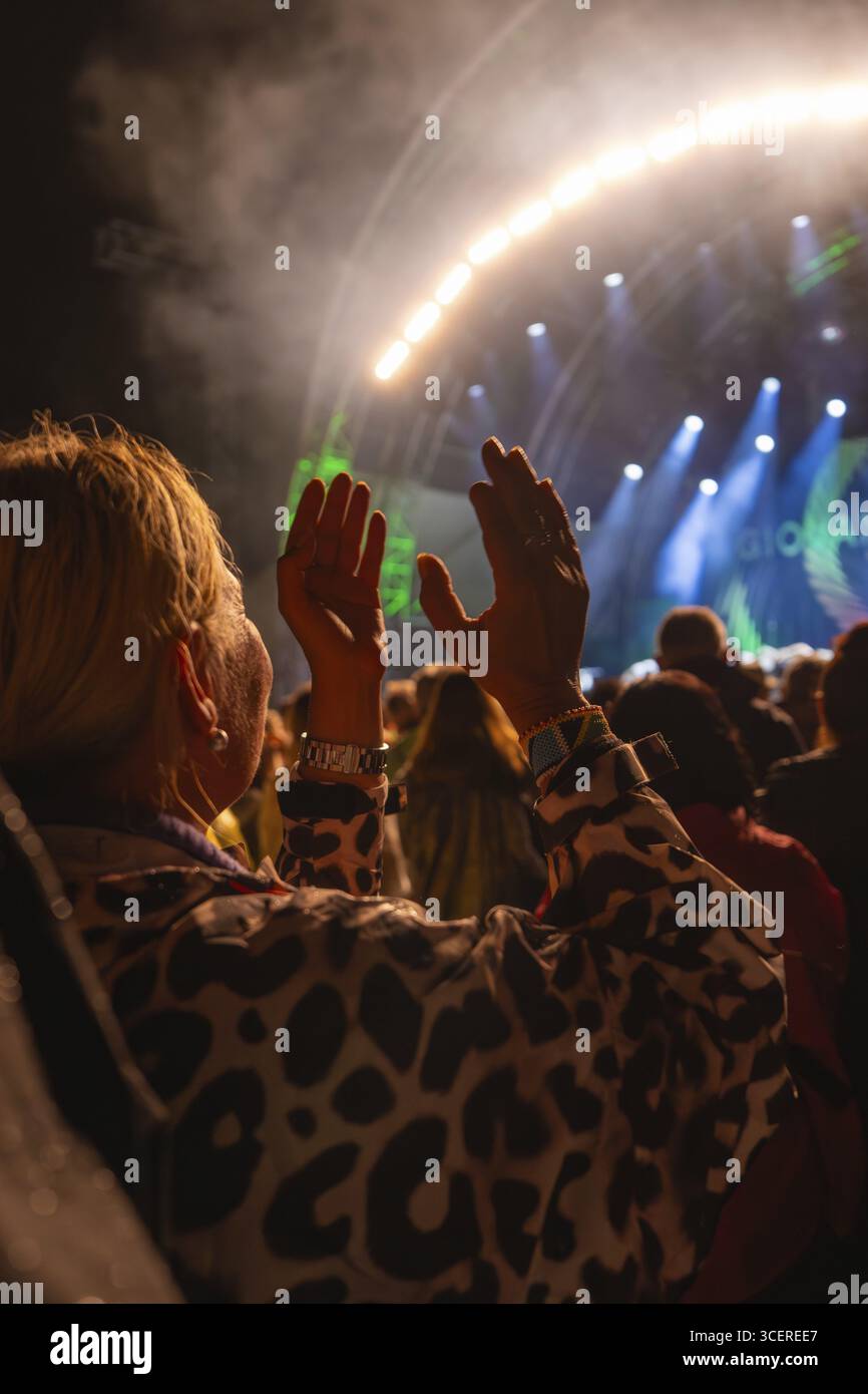 Audience clapping in front of stage with light effects at night in ...