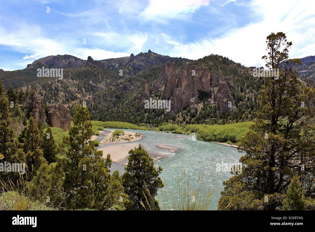 Traful river and nature landscape, Neuqu��n, Argentina. Stock Photo