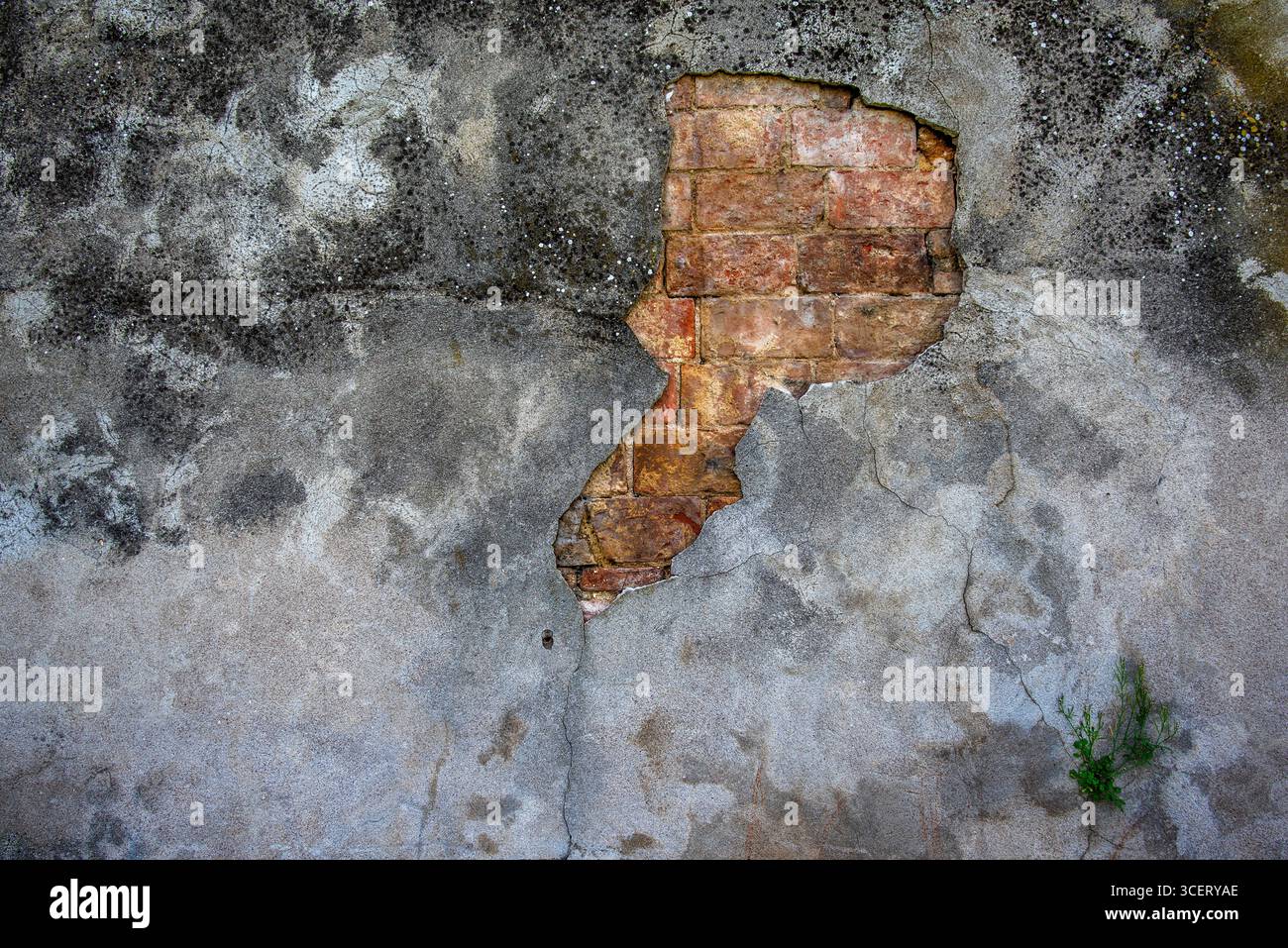 Old weathered plaster wall with large crack exposing red bricks beneath. Urban texture, aged surface, and natural decay perfect for backgrounds, desig Stock Photo