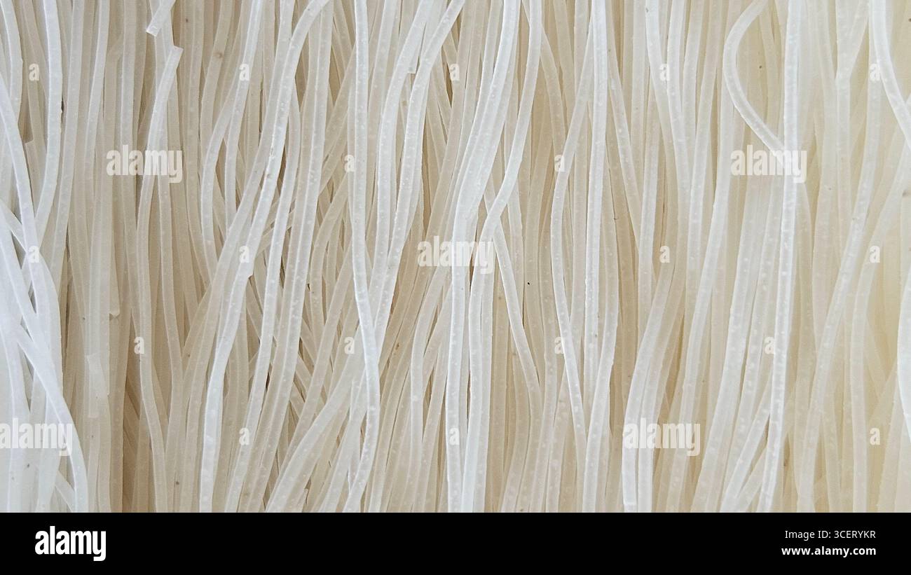 dried rice noodles close-up texture - Smartphone Captured Stock Image