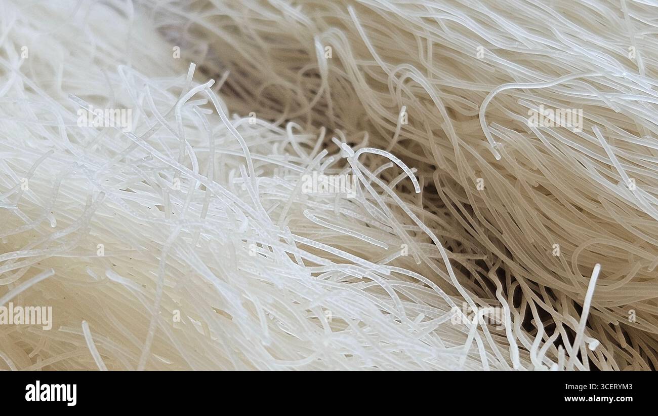 dried rice noodles close-up texture - Smartphone Captured Stock Image