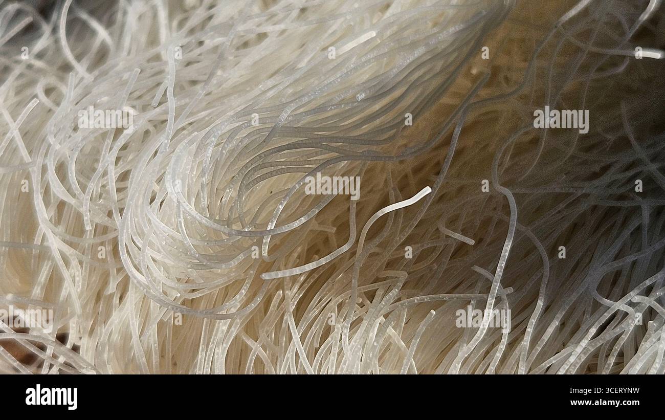 dried rice noodles close-up texture - Smartphone Captured Stock Image