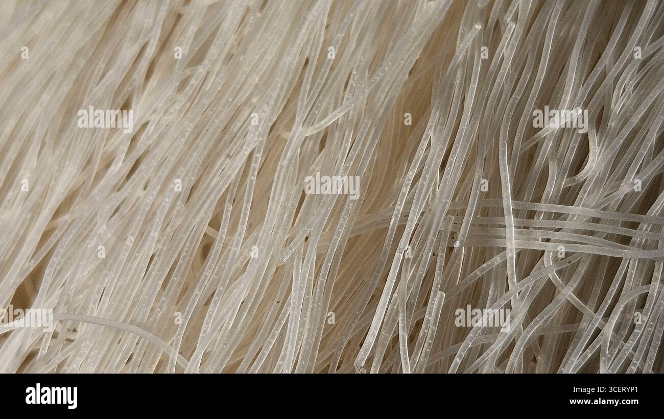 dried rice noodles close-up texture - Smartphone Captured Stock Image