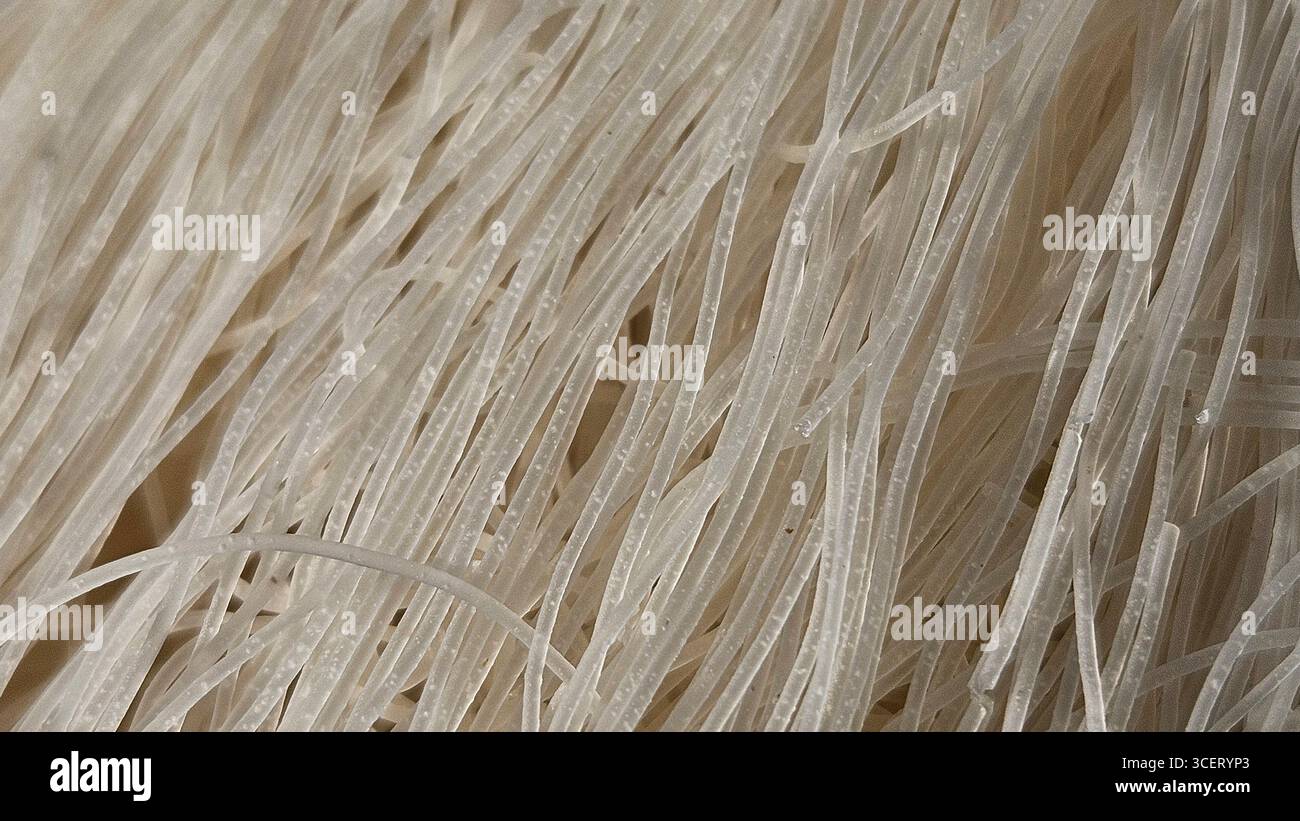 dried rice noodles close-up texture - Smartphone Captured Stock Image