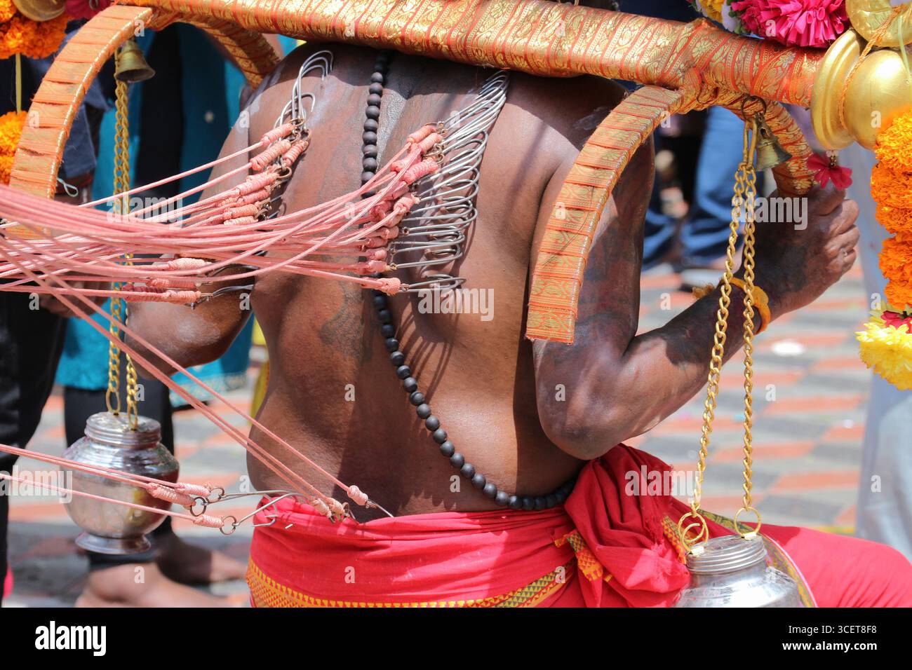 Devotee with ritual hooks piercing skin during Thaipusam festival at ...