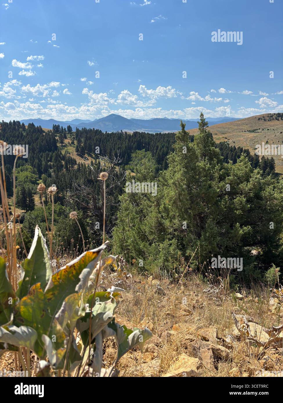 View of the Beartooth Mountains - Smartphone Captured Stock Image