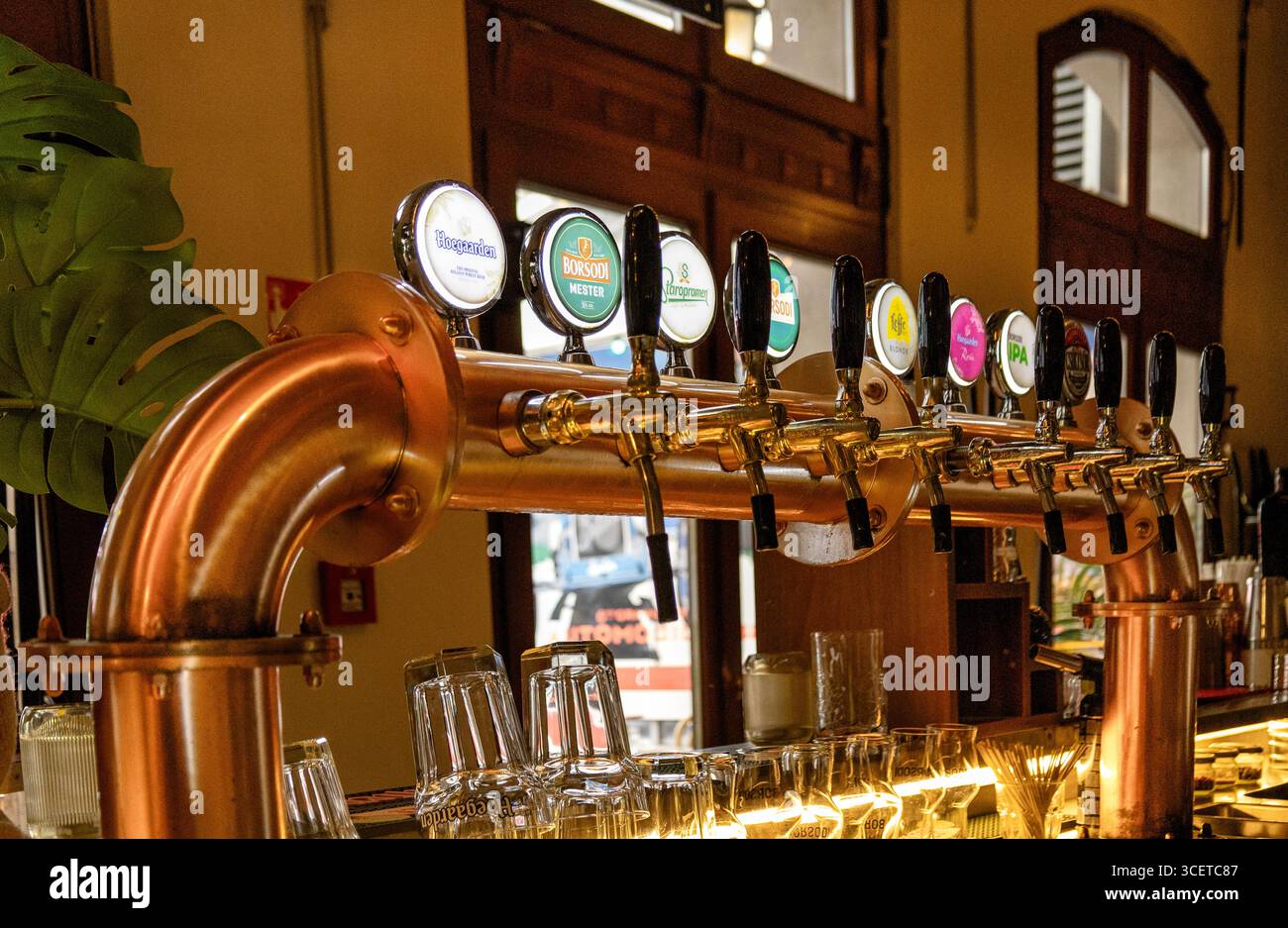 Findings of the Association for Computational Linguistics: ACL 2025, image size:1300x937