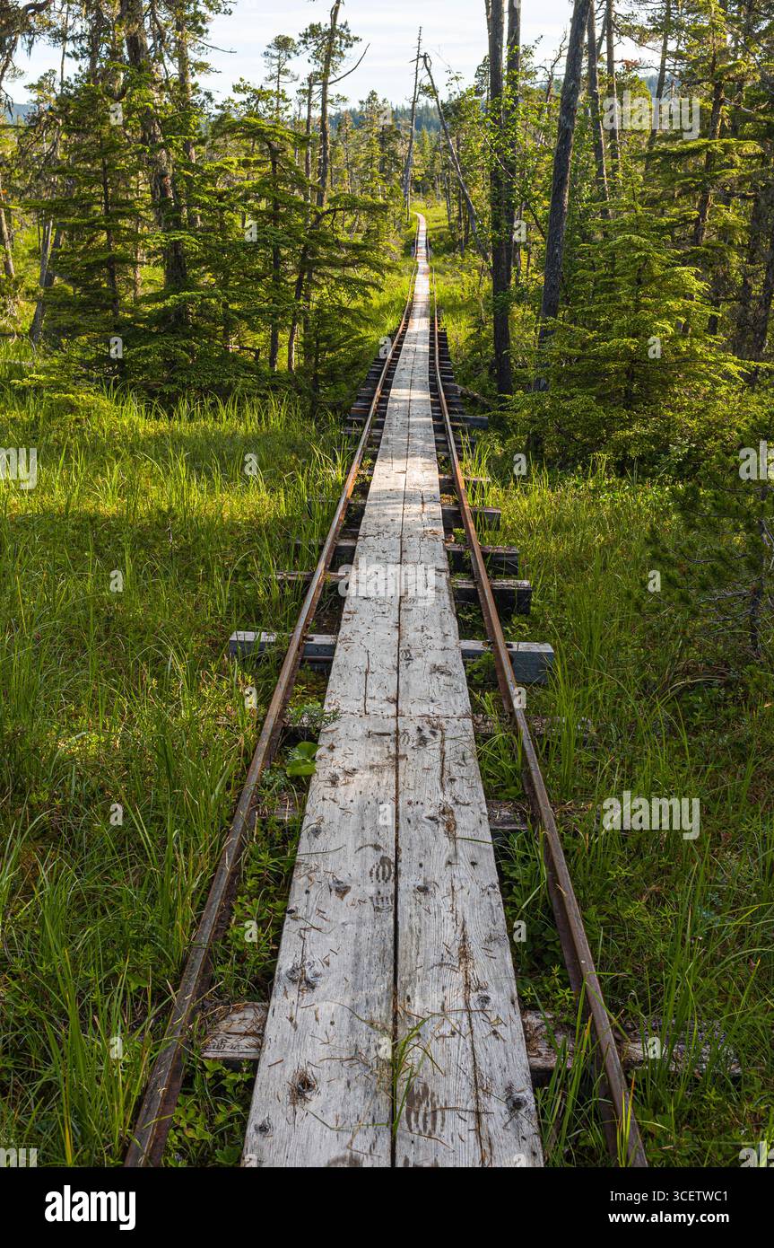Metal rails and wood walkway that is the portage from Oliver Inlet to ...