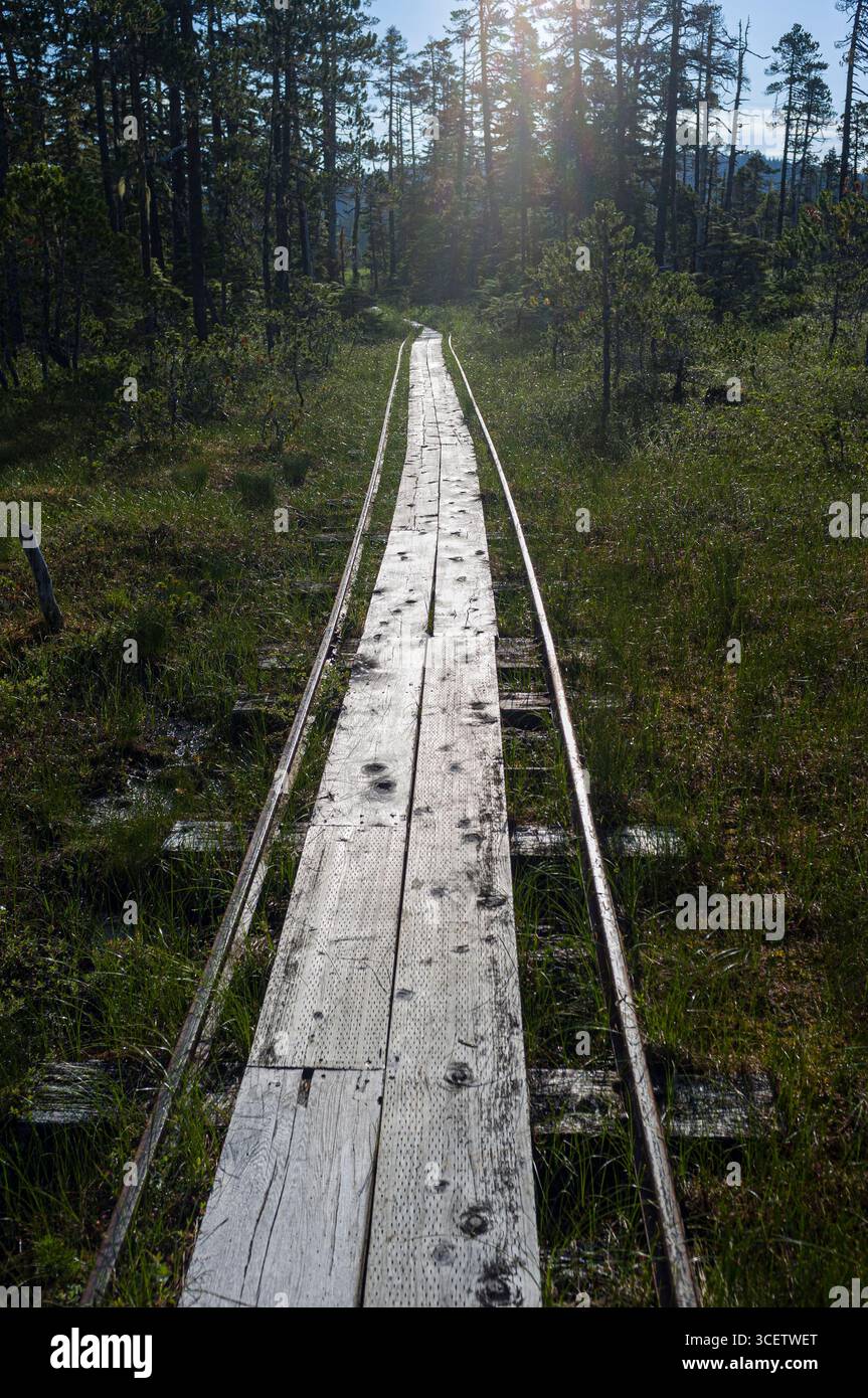 Metal rails and wood walkway that is the portage from Oliver Inlet to ...