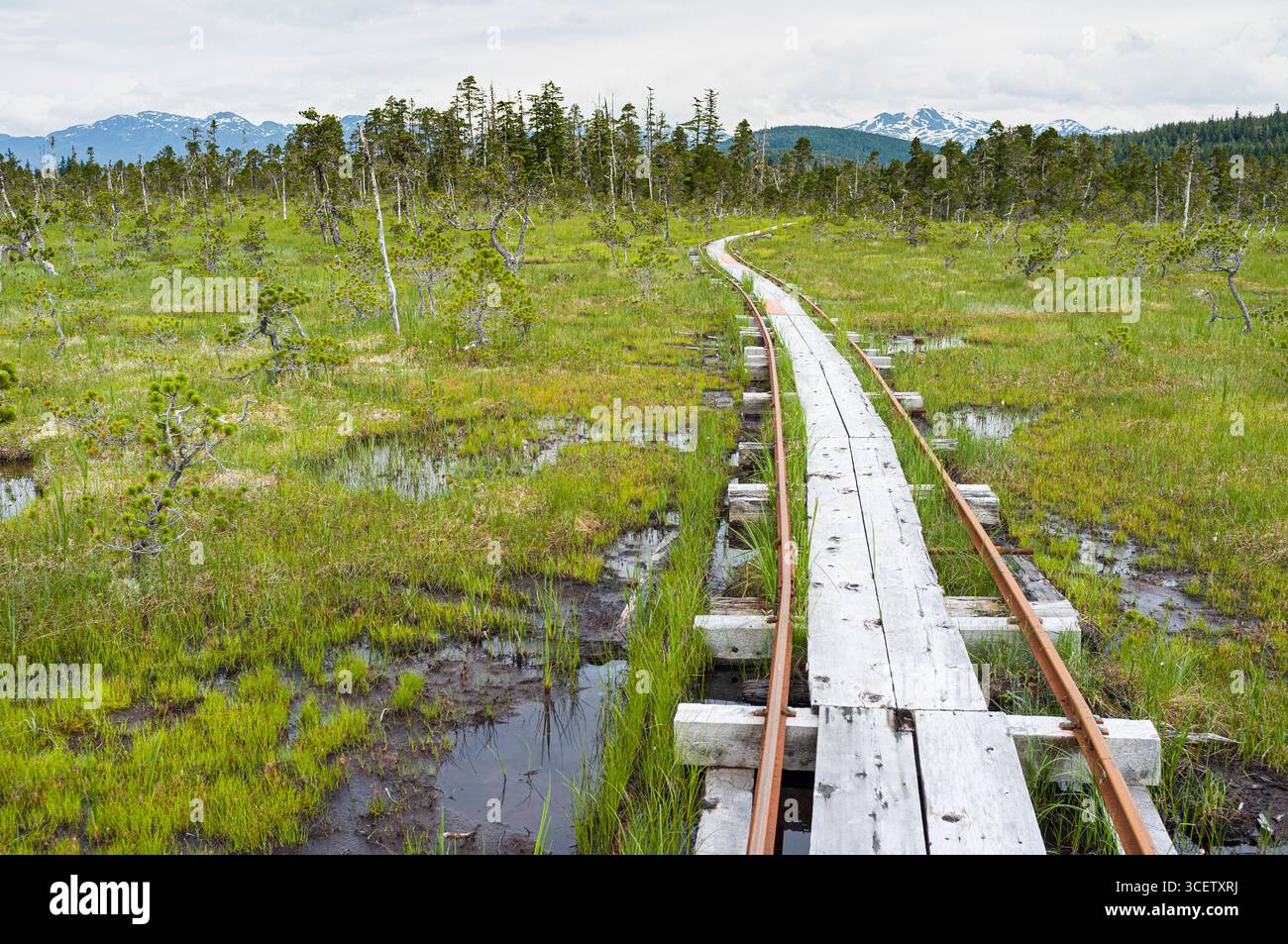 Metal rails and wood walkway that is the portage from Oliver Inlet to ...