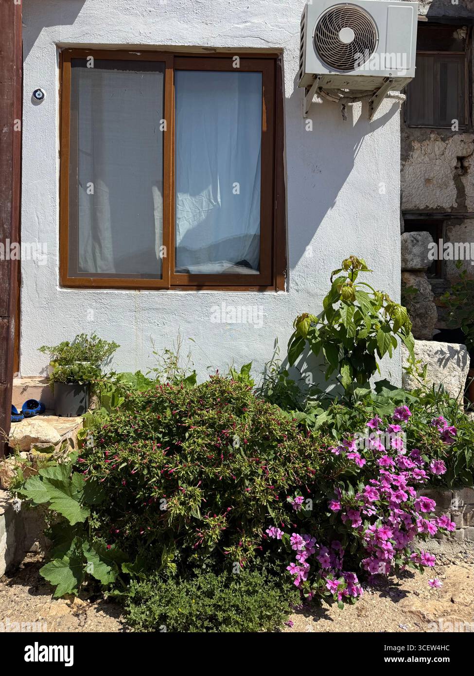 Vintage wooden window on a whitewashed wall with a small garden in front, traditional Mediterranean architecture in an old European town - Smartphone Captured Stock Image