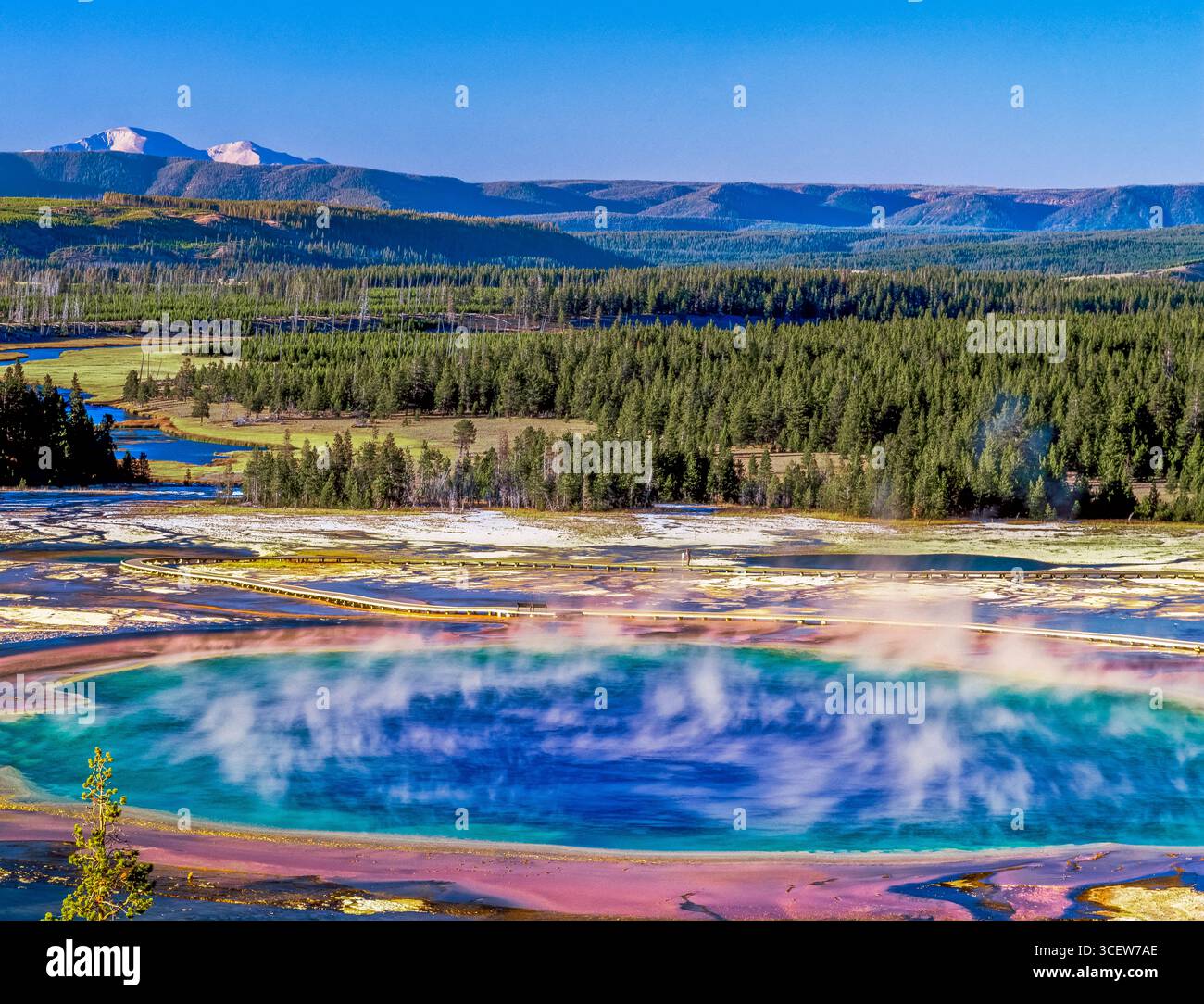 grand prismatic spring in the midway geyser basin of yellowstone ...