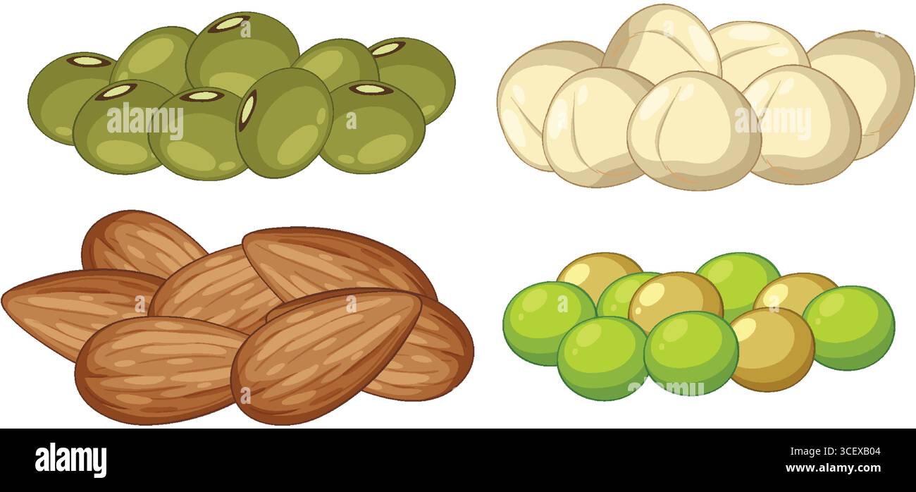 Colorful vector illustration of almonds, macadamia nuts, green olives, and pistachios arranged in isolated groups with clean outlines and soft shading Stock Vector