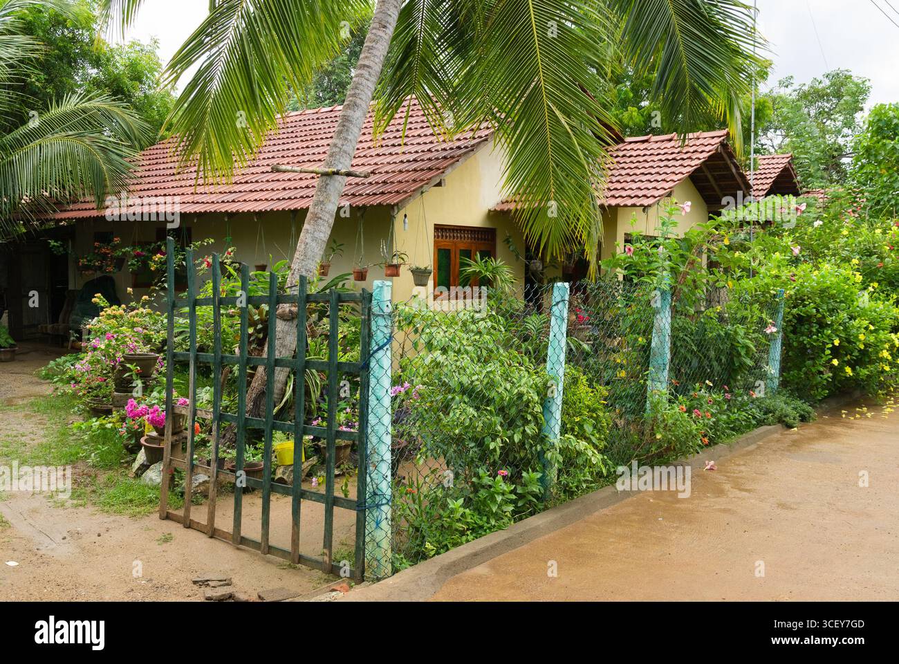 House in sri lanka hi-res stock photography and images - Alamy, image size:1300x960