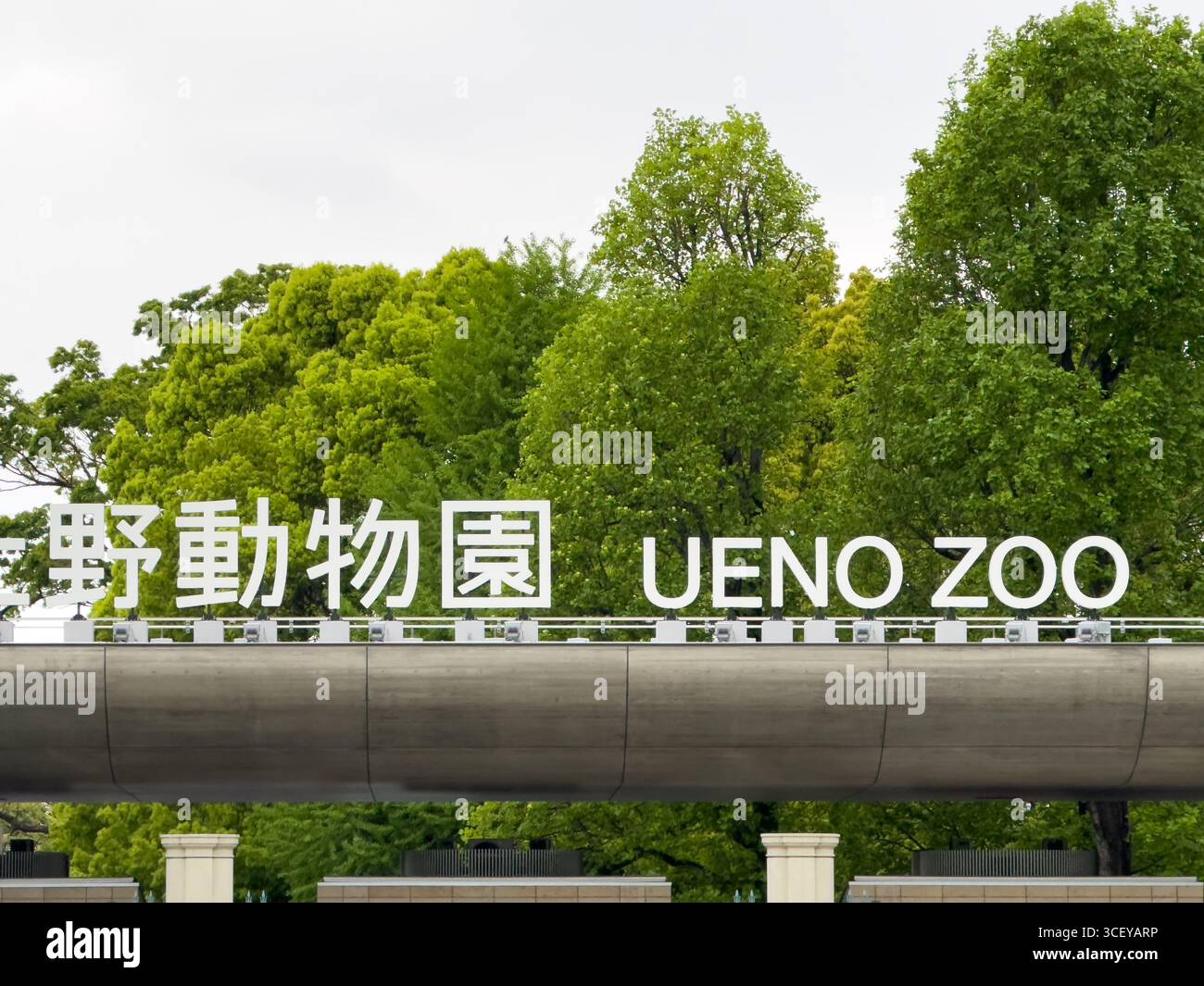 Ueno Zoo in Tokyo, Japan. Ueno Zoological Gardens is Japan's oldest zoo and home to the giant panda bear. - Smartphone Captured Stock Image