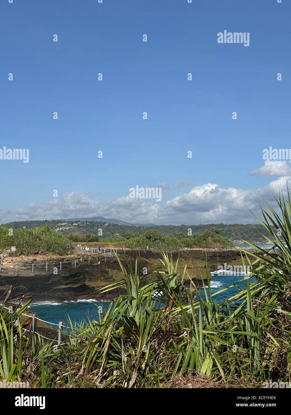 Cliffside view of lush greenery, crashing turquoise waves, and tropical landscape in Nusa Penida, Bali, Indonesia, under a bright blue summer sky. Stock Photo