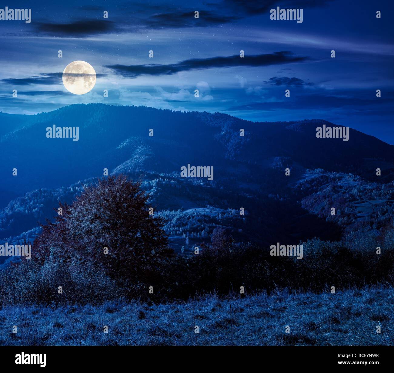 autumn mountain landscape at night. beautiful countryside in highlands with rural fields and colorful deciduous trees. rolling hills in full moon ligh Stock Photo