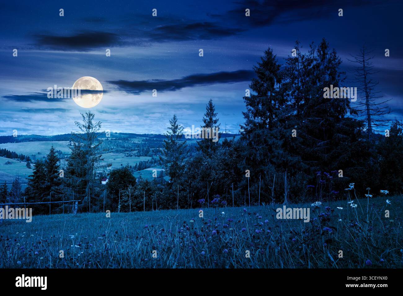 countryside landscape with green field in autumn at night. alpine scenery with grassy herb meadow near mountain range in full moon light. forested hil Stock Photo