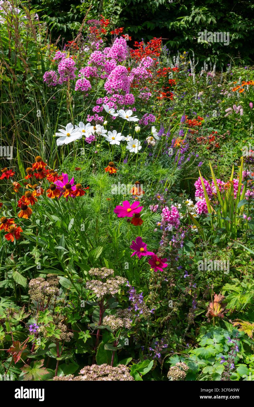 Late summer border garden hi-res stock photography and images - Alamy