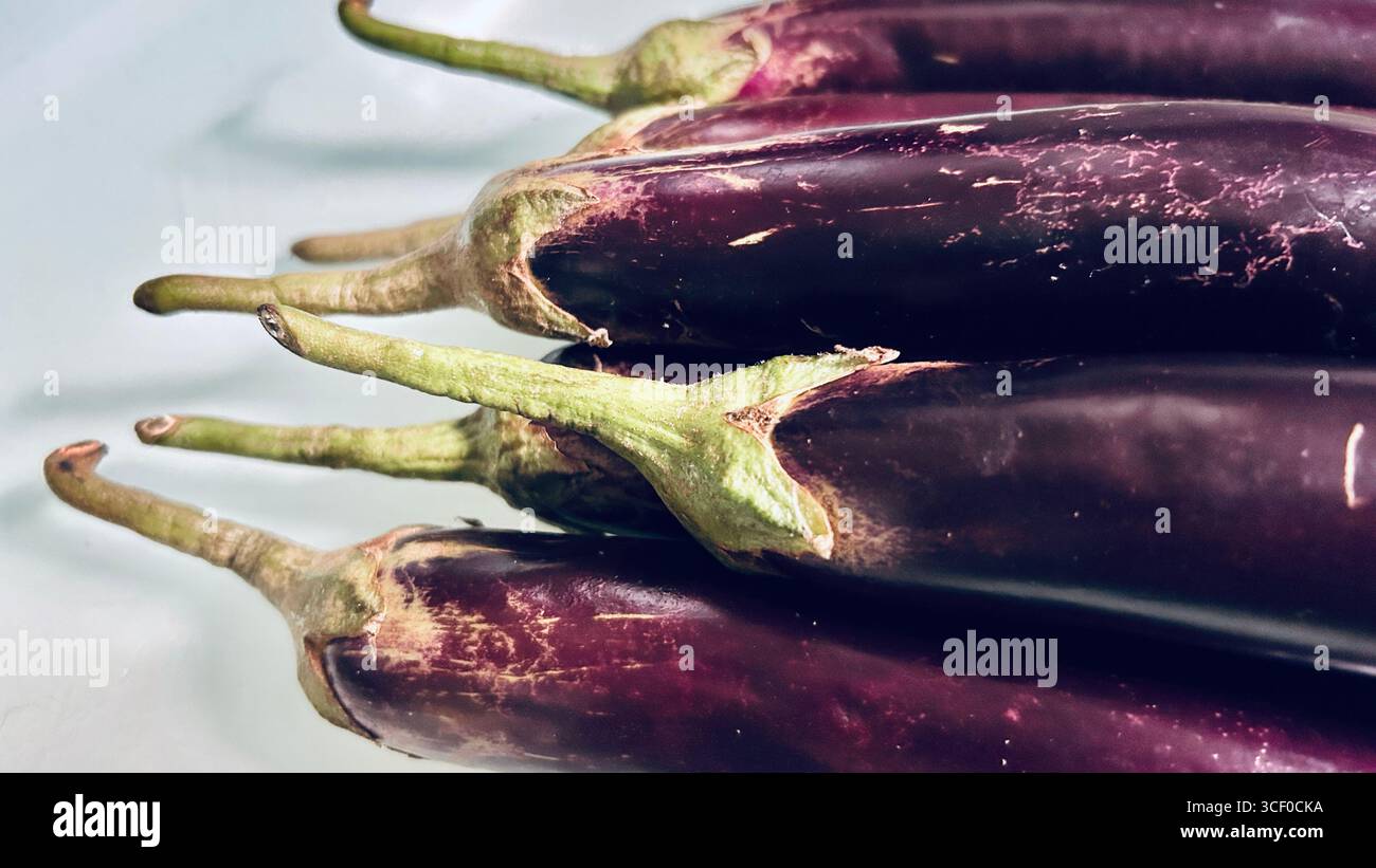 eggplants isolated on white background - Smartphone Captured Stock Image