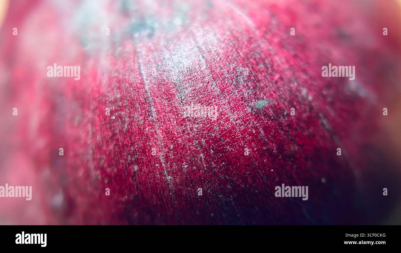 close up of red onion bulb - Smartphone Captured Stock Image