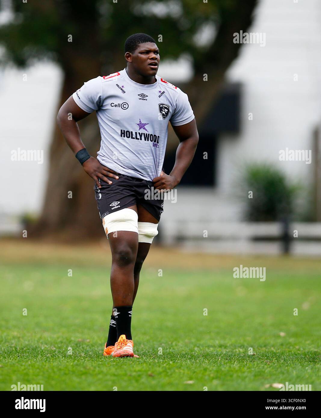 Bathobele Hlekani of the Hollywoodbets Sharks during Hollywoodbets ...