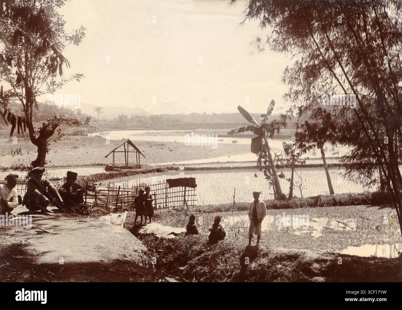 This photo shows Indonesian men and children working in rice fields in Tjitaroen, near Garoet (Garut), with the Galunggung volcano in the background, taken between 1900 and 1920. Stock Photo