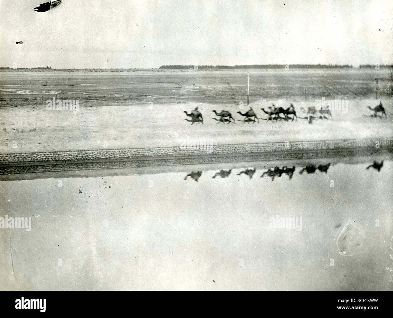 A camel brigade equipped with machine guns moves along the Suez Canal ...