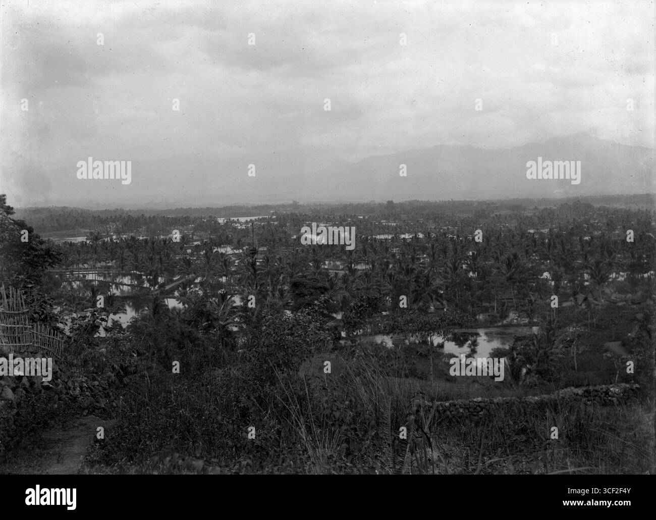 This photo from 1880-1910 shows fish ponds near Tjipanas, Garoet, Java ...