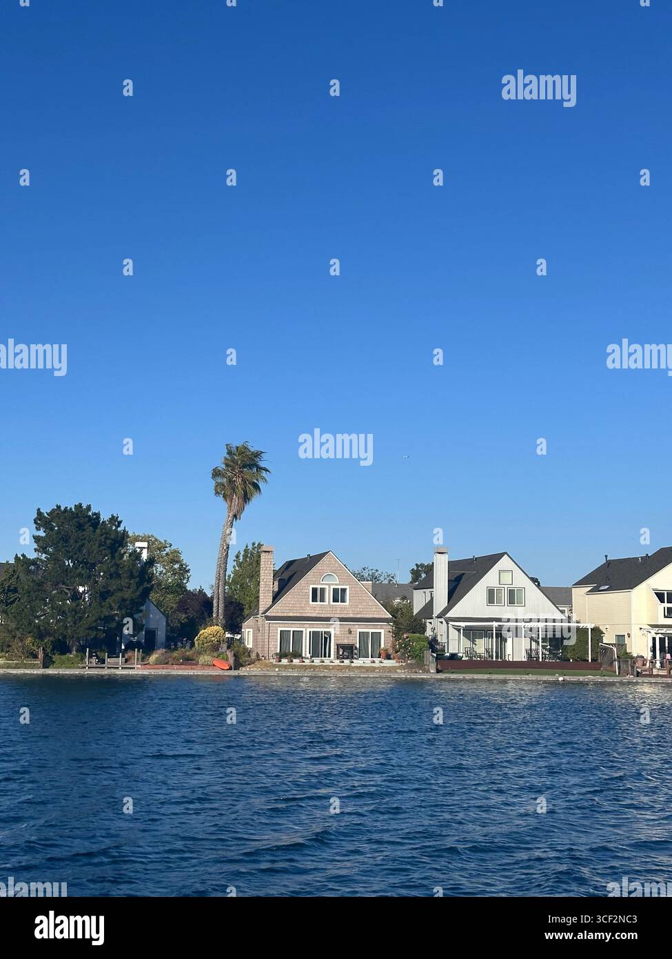 A row of waterfront houses with a tall palm tree and clear blue sky, seen from across the water on a bright sunny day. - Smartphone Captured Stock Image