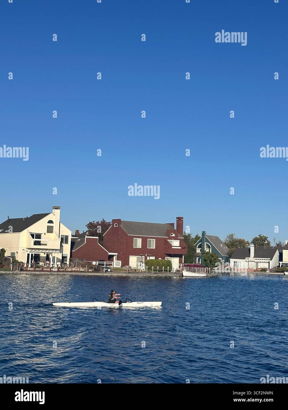 A kayaker paddles on calm blue water as a seagull flies overhead, with waterfront homes and modern office buildings in the background - Smartphone Captured Stock Image