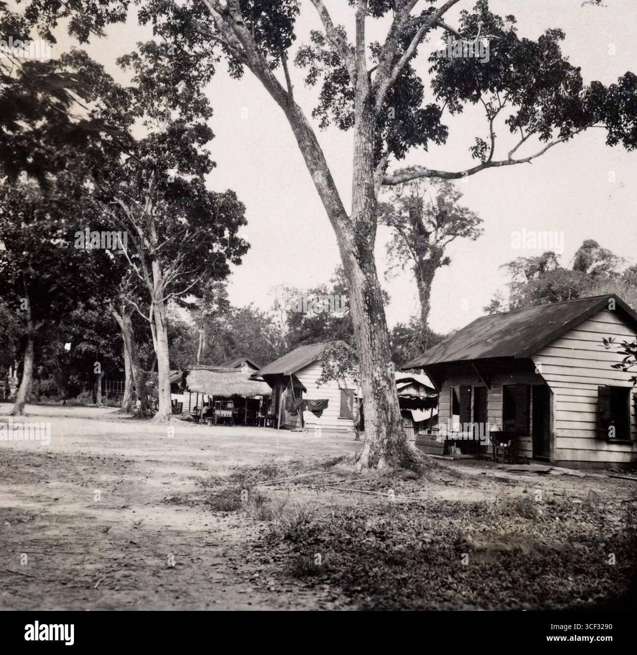 This stereophoto from around 1940 shows a Javanese kampong in the ...