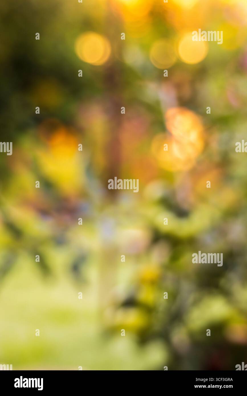 Blurred bokeh hi-res stock photography and images - Alamy