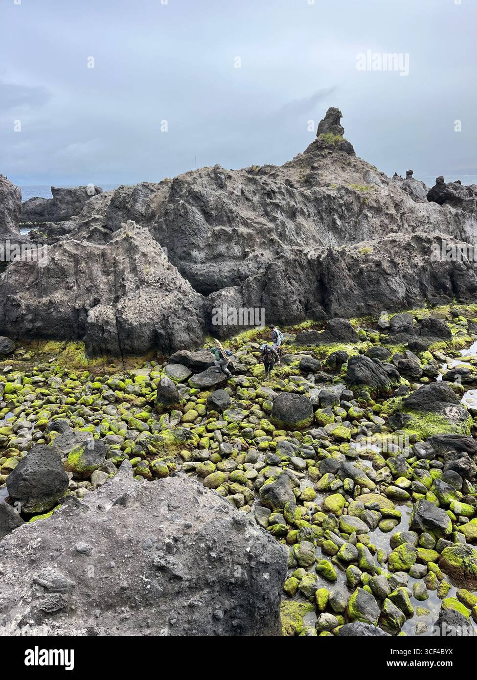Low tide reveals volcanic rocks covered with green algae along the rugged Azores coastline, Portugal. - Smartphone Captured Stock Image